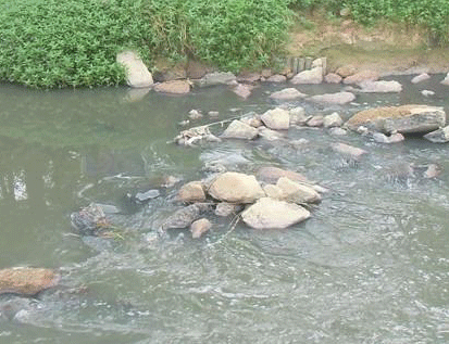 景觀水體、湖泊等生態(tài)修復(fù)方案